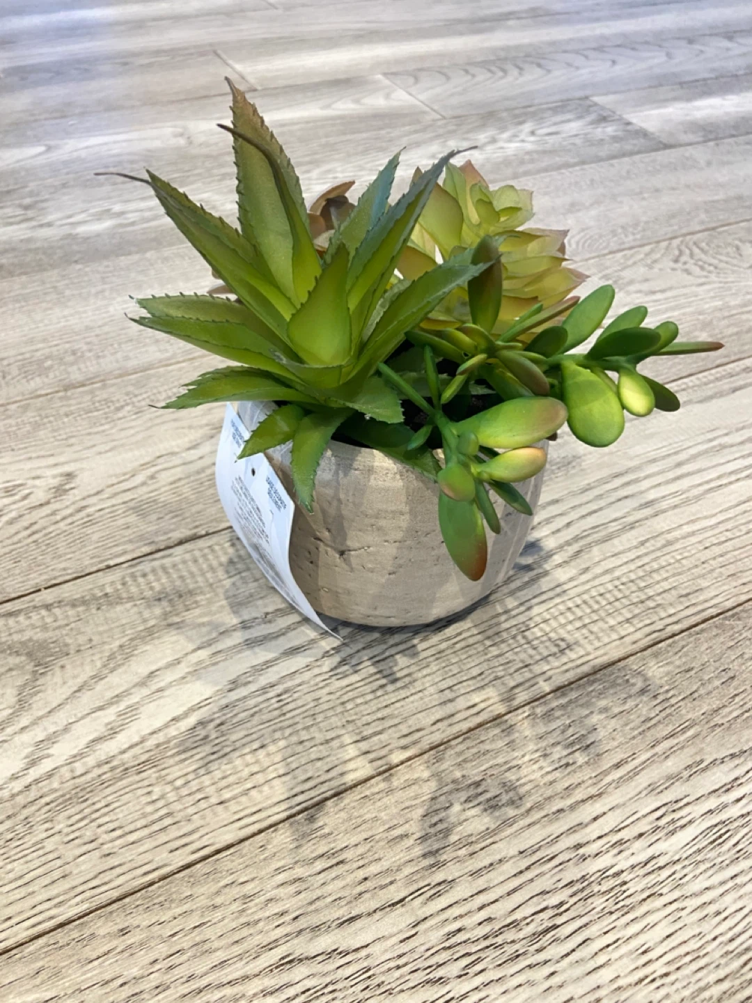 Artificial Succulent Plant in Pot