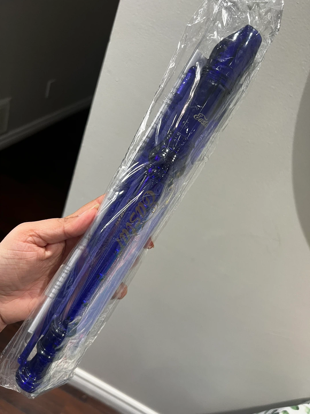 Aulos Recorder Blue