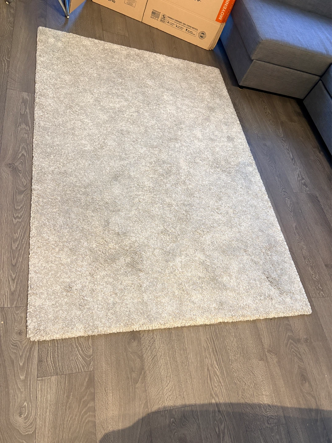 Light Grey Shag Area Rug