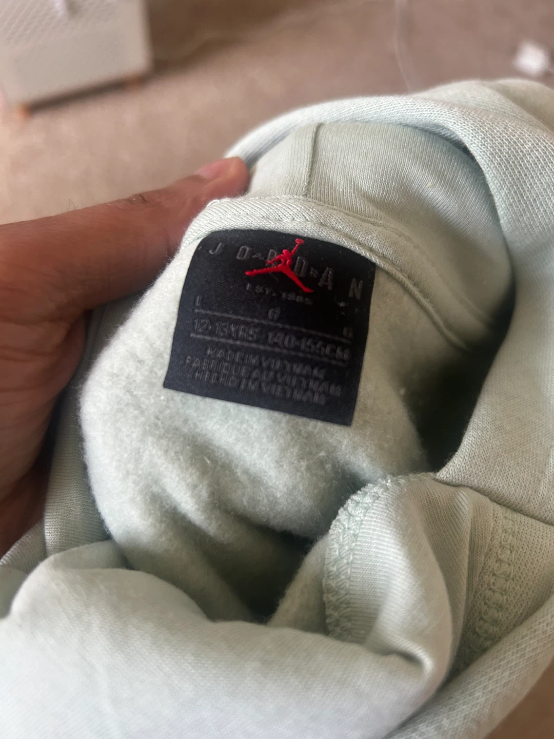 NWT Jordan Girls Seafoam Hoodie - Size L - photo 3
