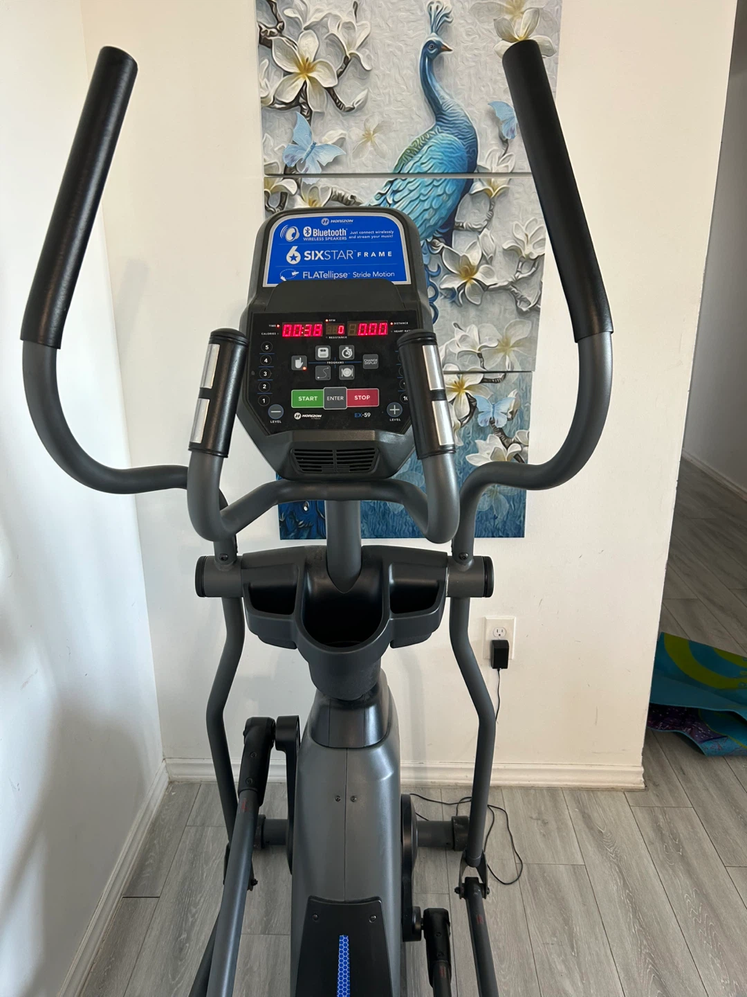 Horizon Fitness EX-59 Elliptical - photo 2