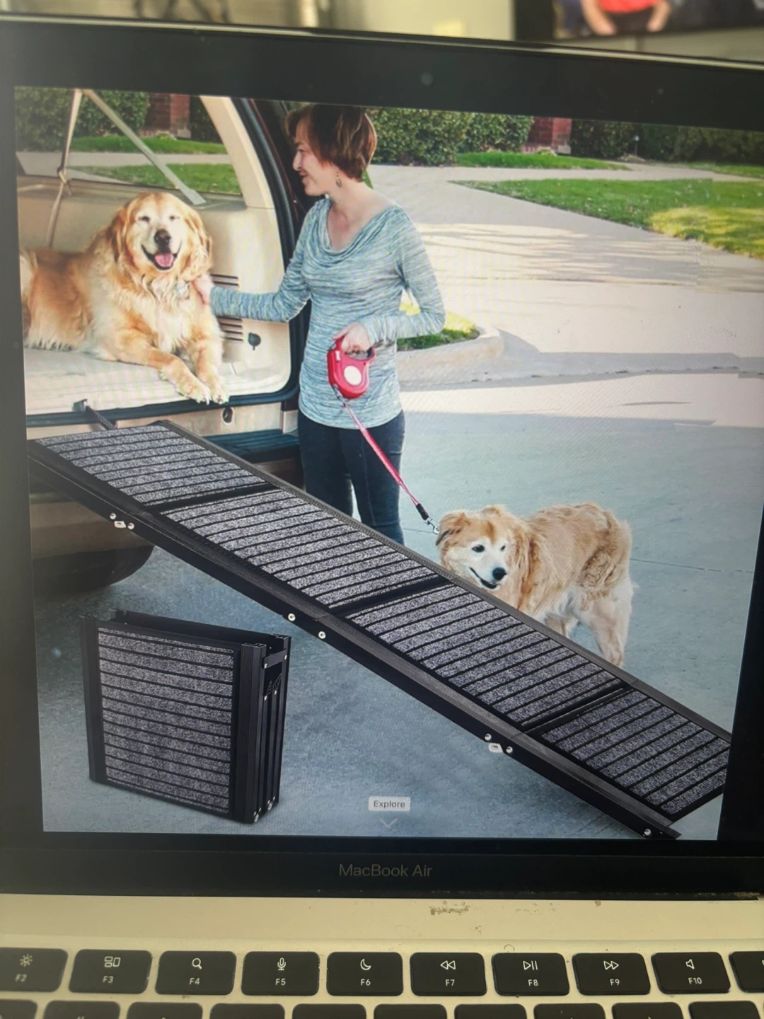 Foldable Pet Ramp for Cars