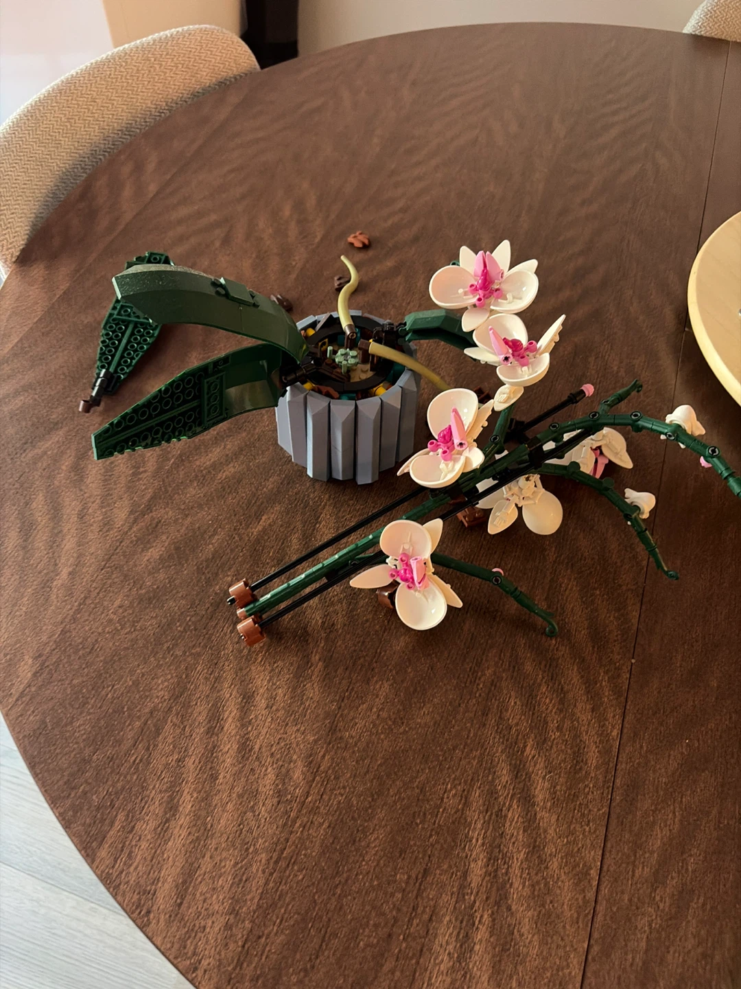 LEGO Orchid Set