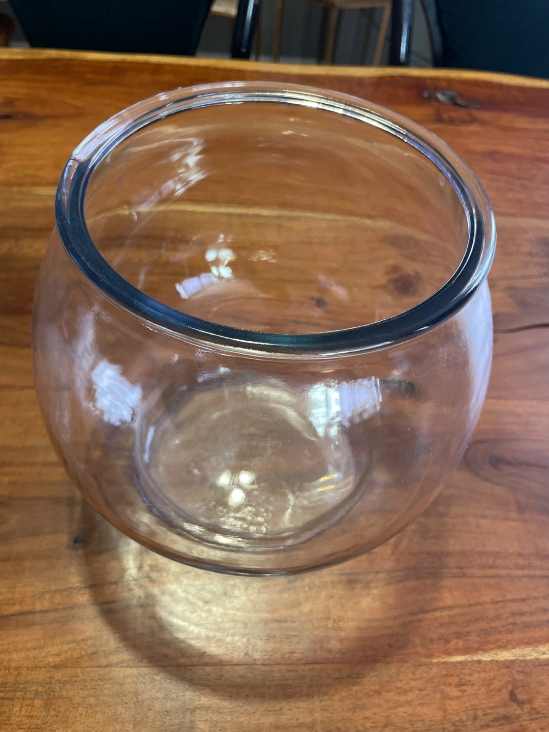 Betta fish tank
