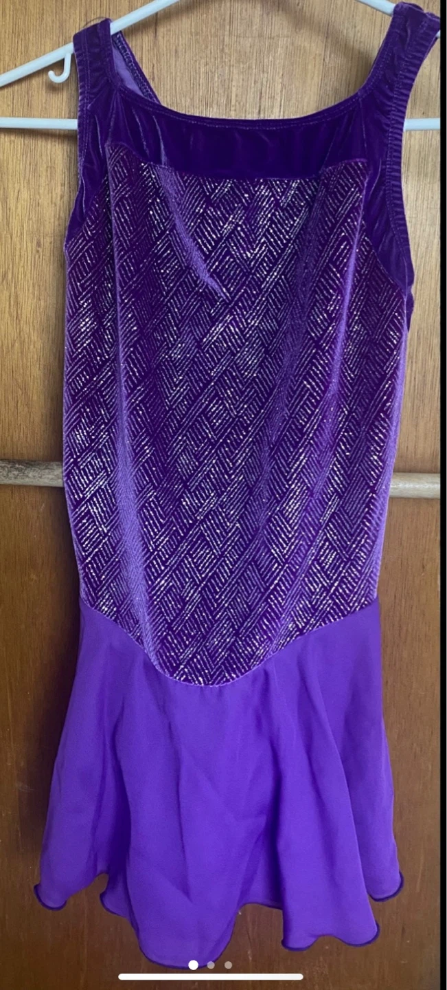🌱  Jerry's Purple Figure Skating Dress Adult M/M