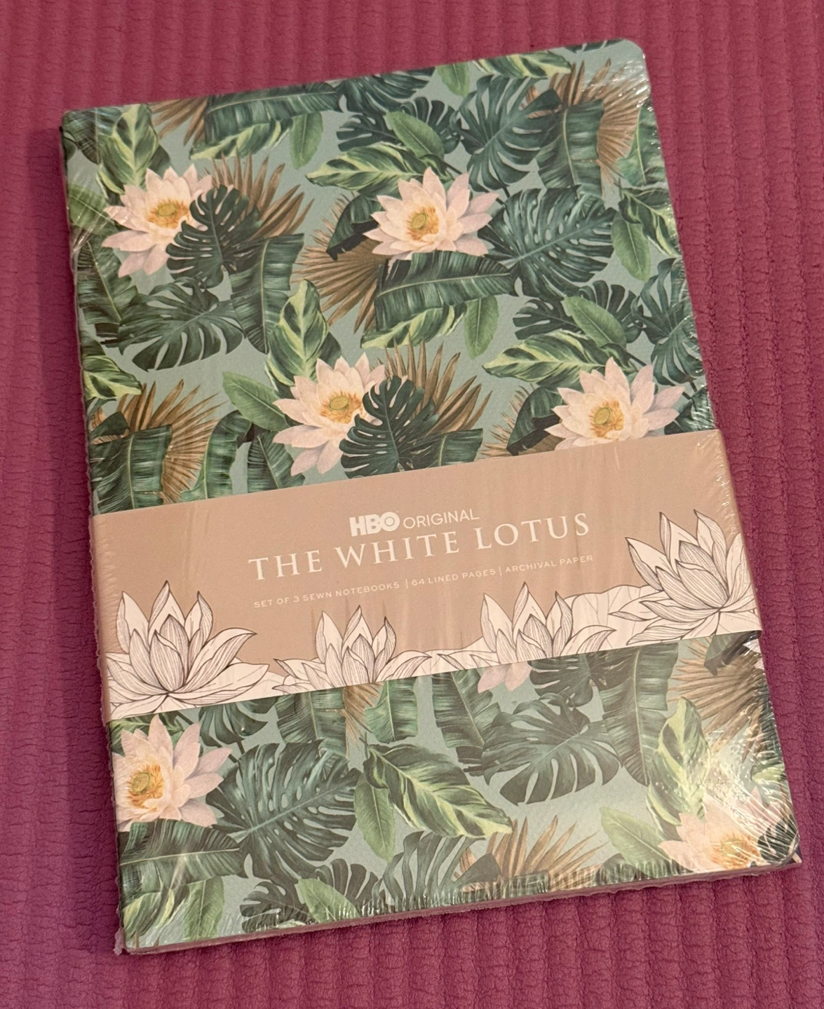 🌱 Notebook Collection (Set of 3)