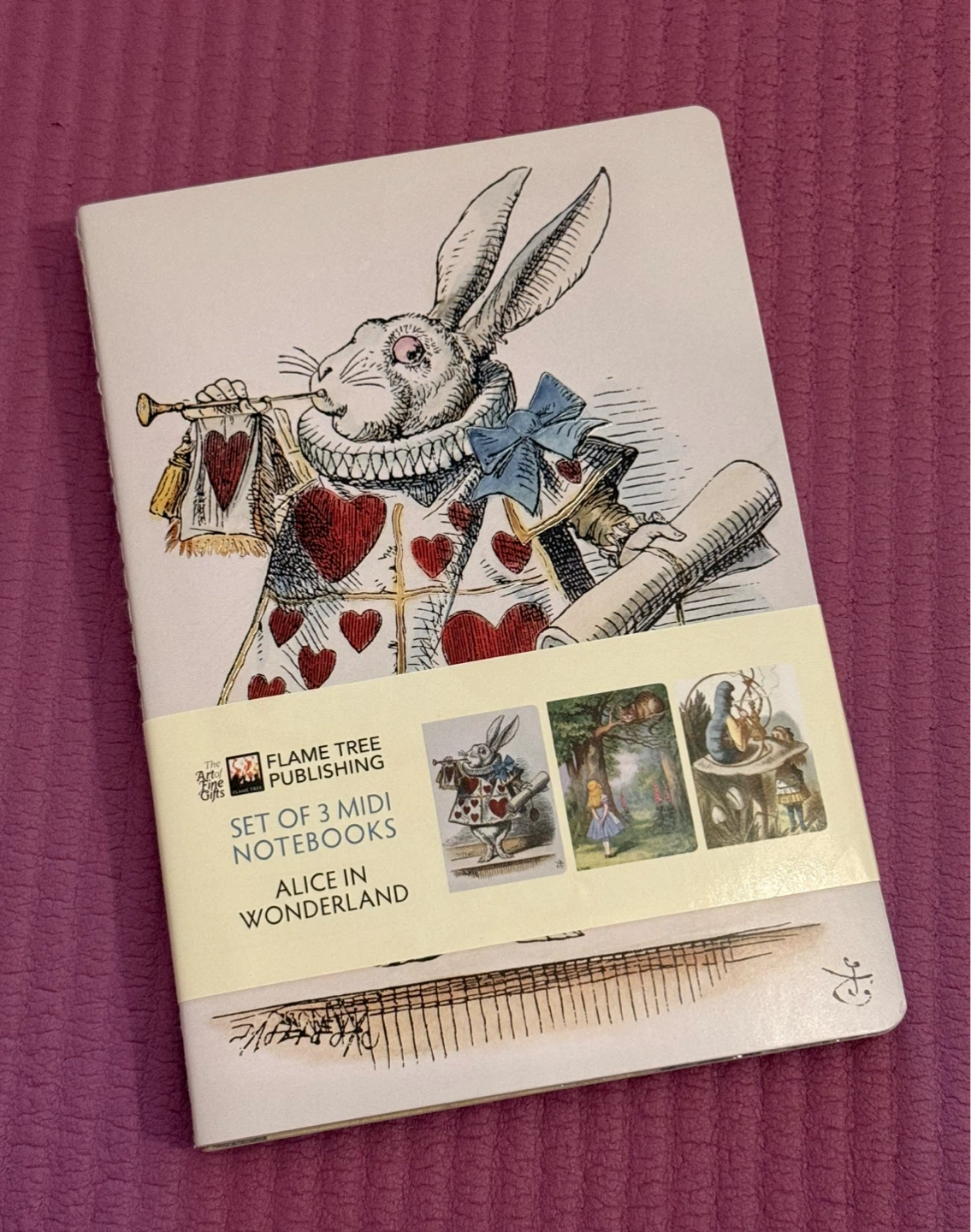🌱Alice in Wonderland Set of 3 Midi Notebooks