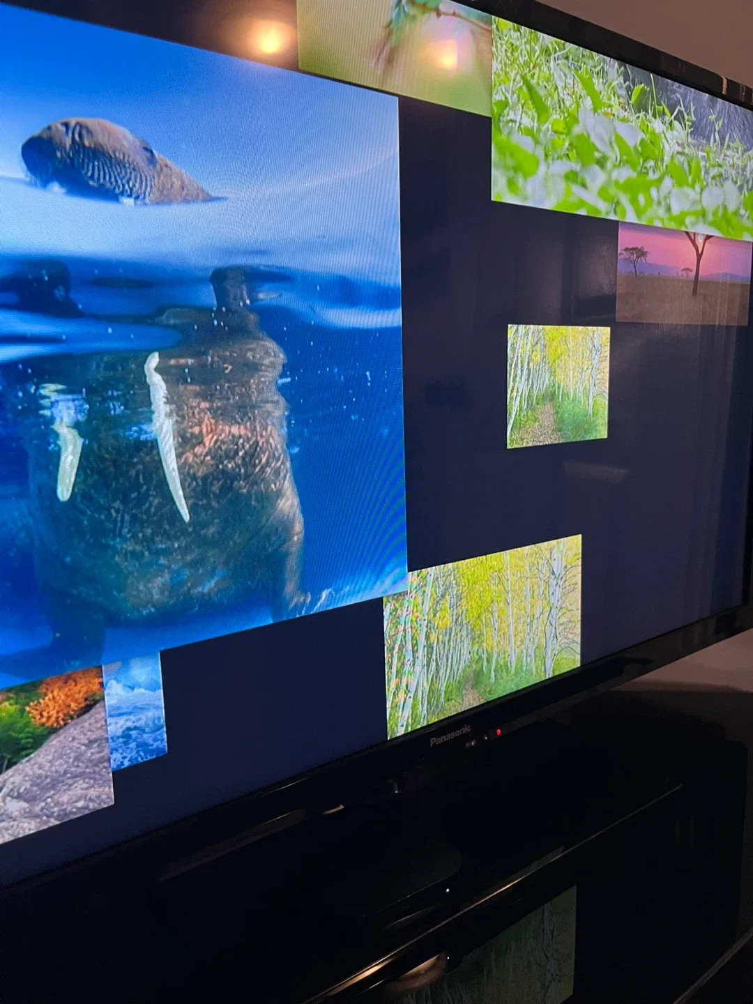 40” Panasonic LCD TV - photo 3