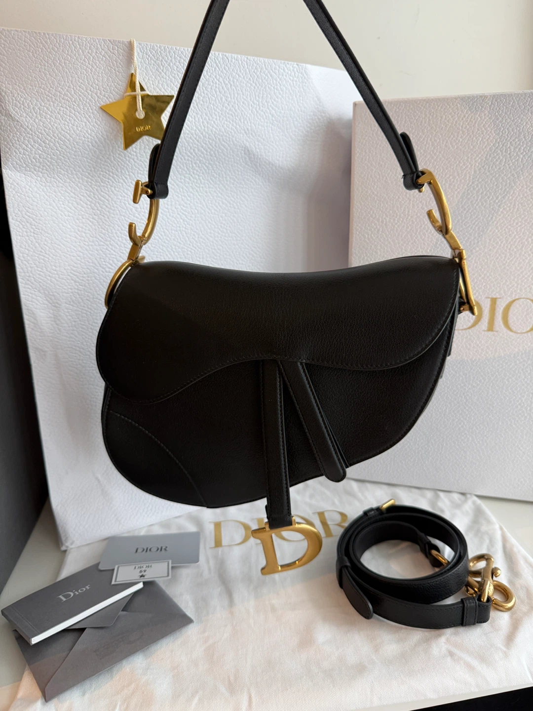 Dior Saddle Bag black goat skin