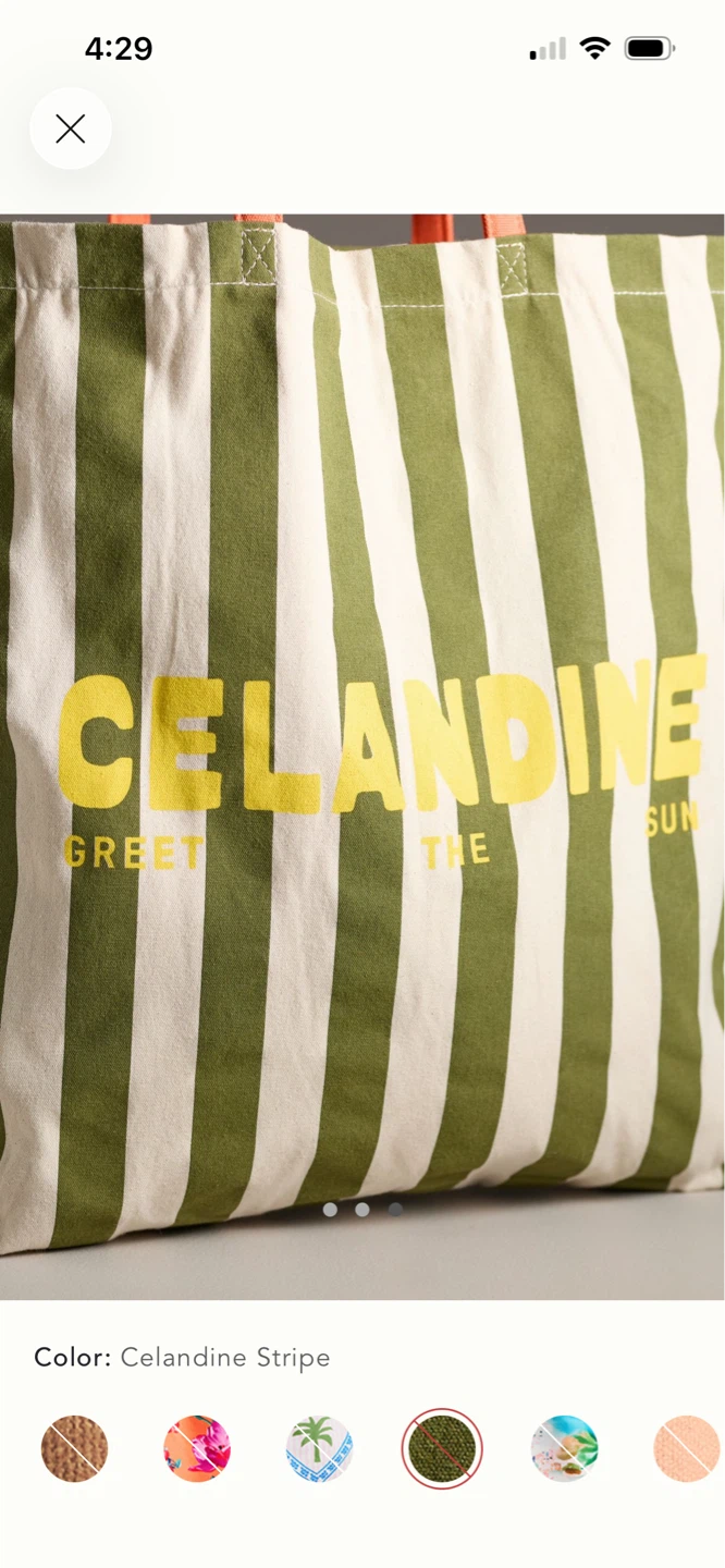 BNWT Anthropologie Graphic Canvas Tote - photo 4