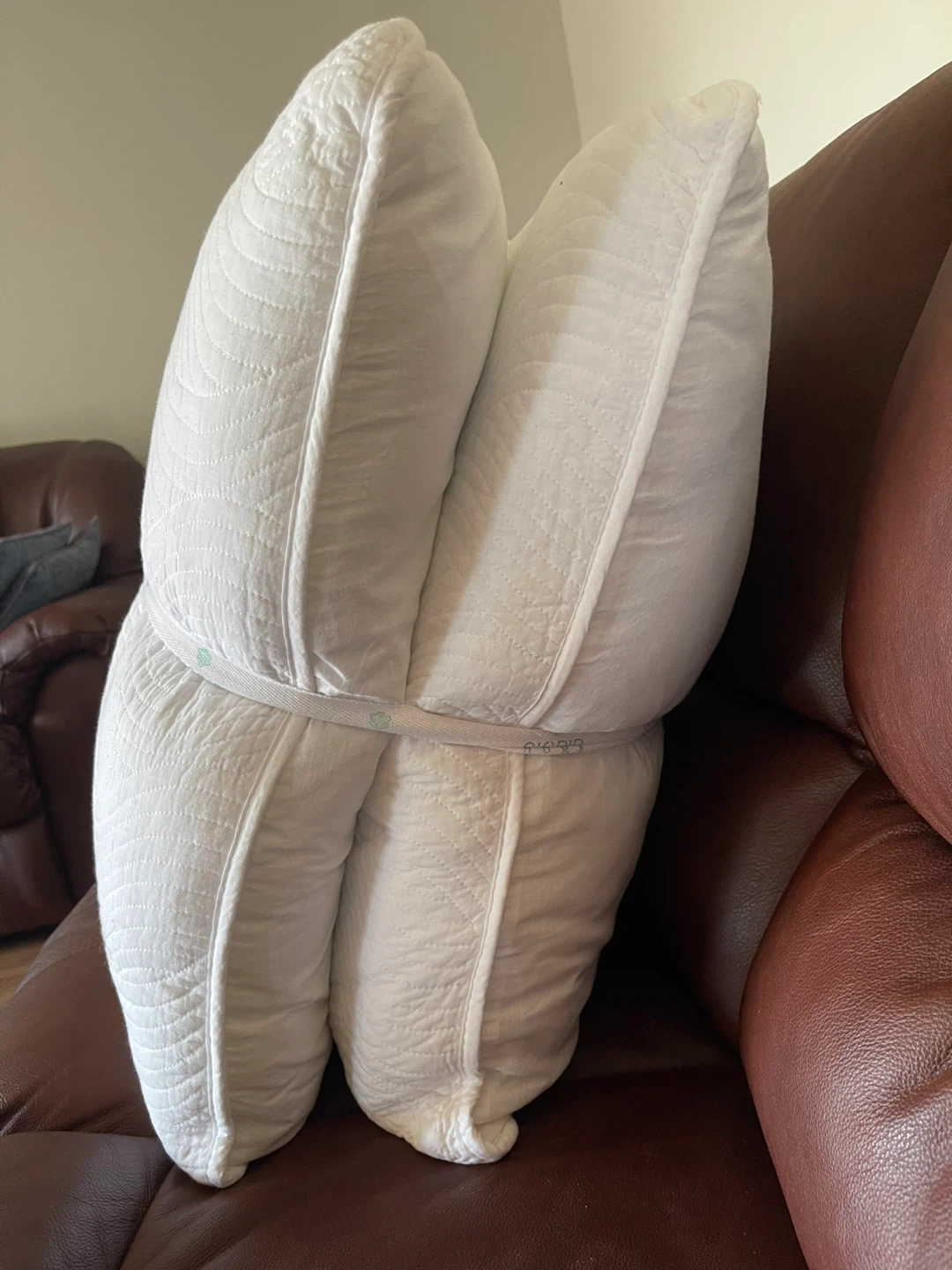 Sigrid Olsen Home Euro Cotton Pillows - Set of 2