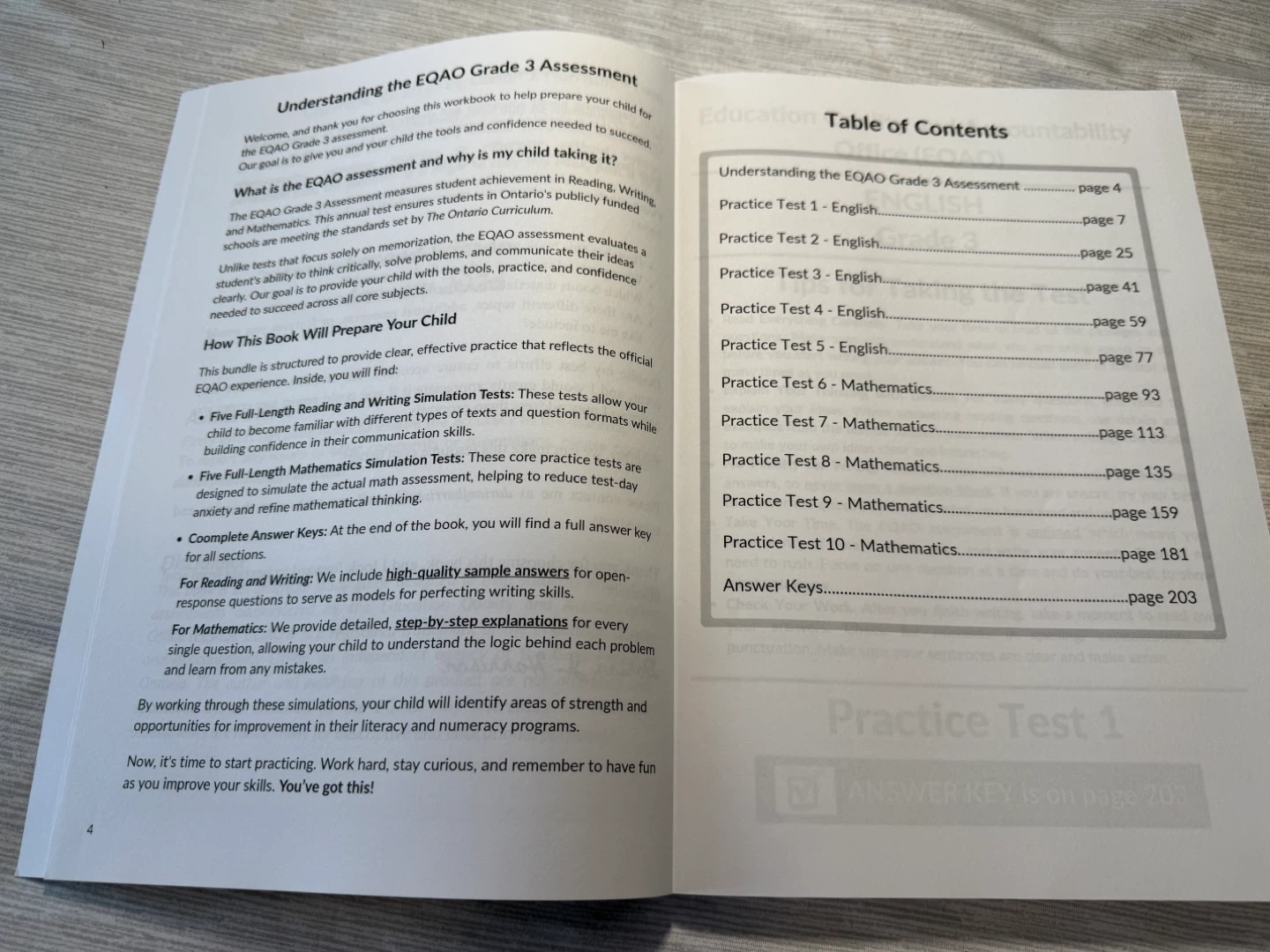 EQAO Test Prep 2026 - photo 2