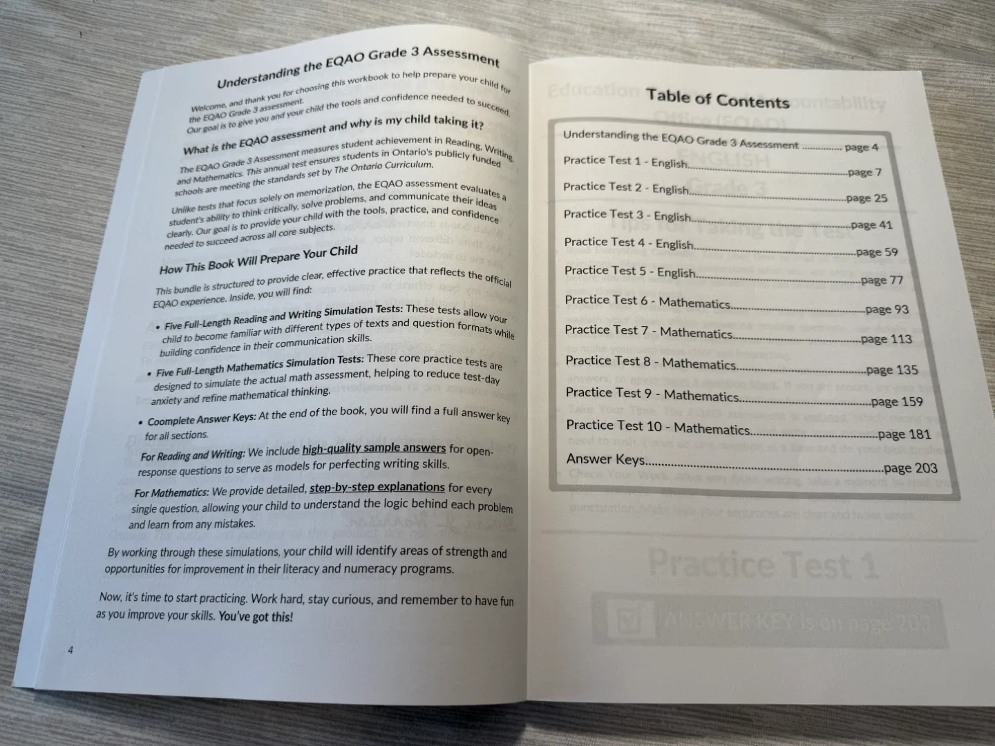 EQAO Test Prep 2026 - photo 2