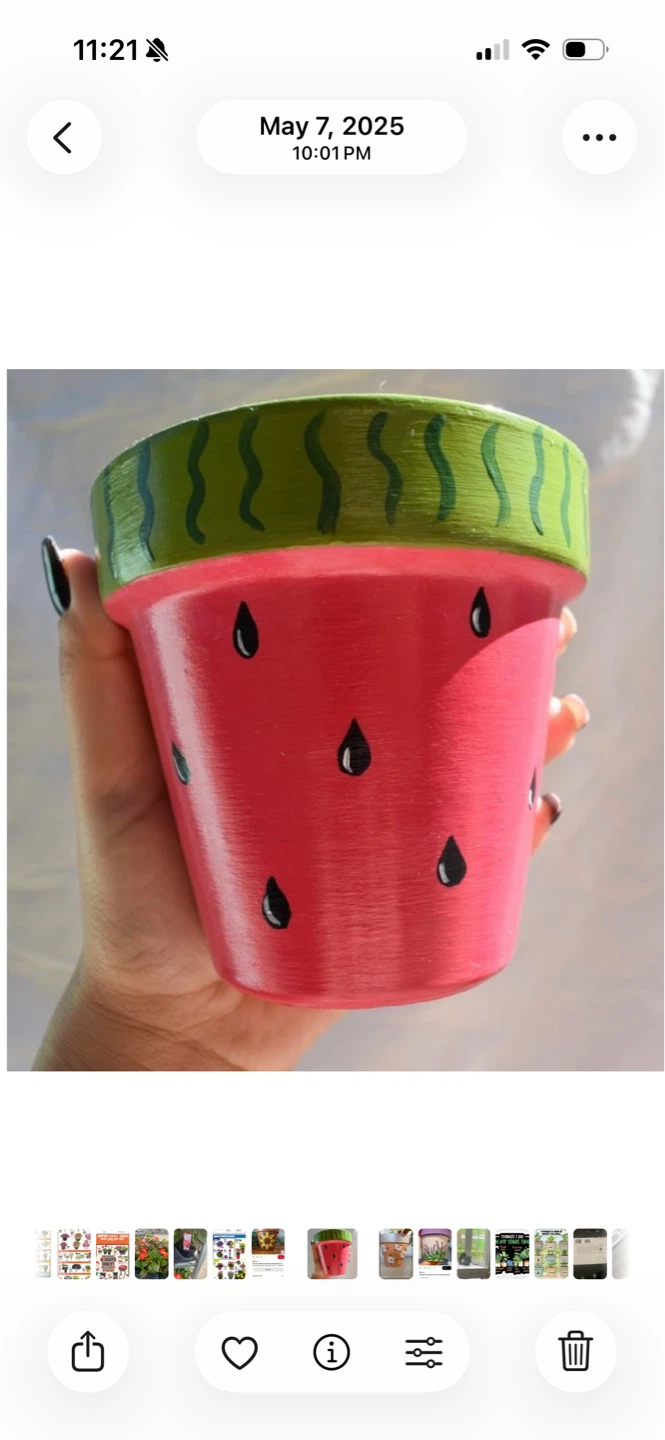 🌱 Watermelon Decorated Flower Pot 🌱