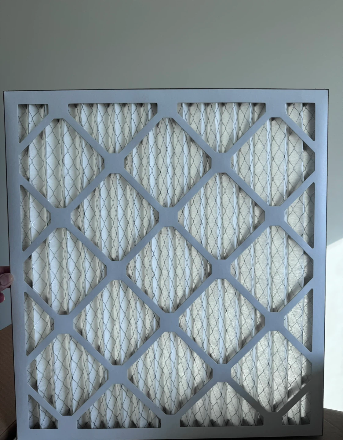 Furnace Air Filter🌱