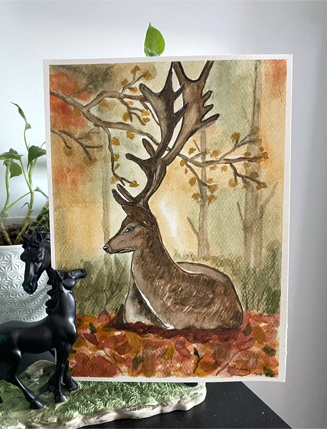 Watercolor Animal paintings