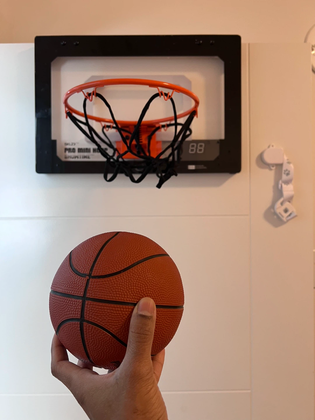 SKLZ Pro Mini Hoop System