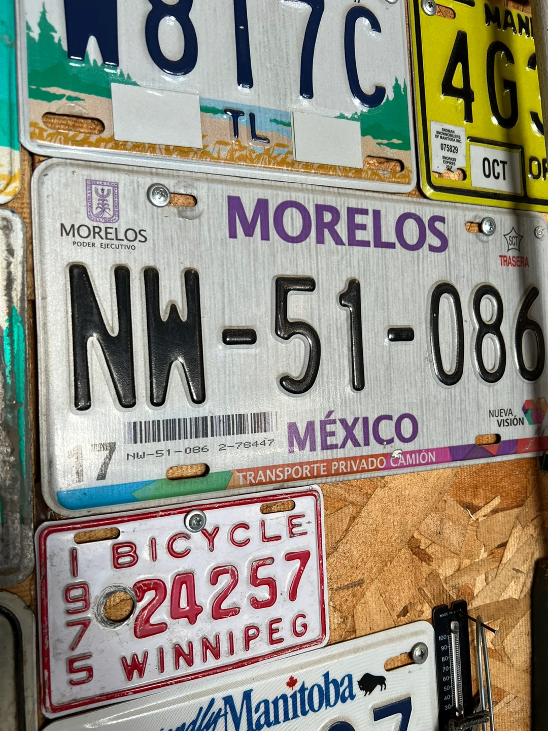 Mexico License Plate