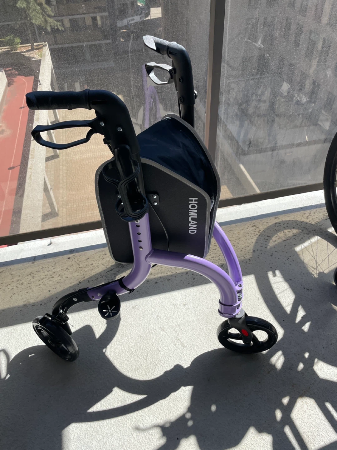 Howland Mobility Walker