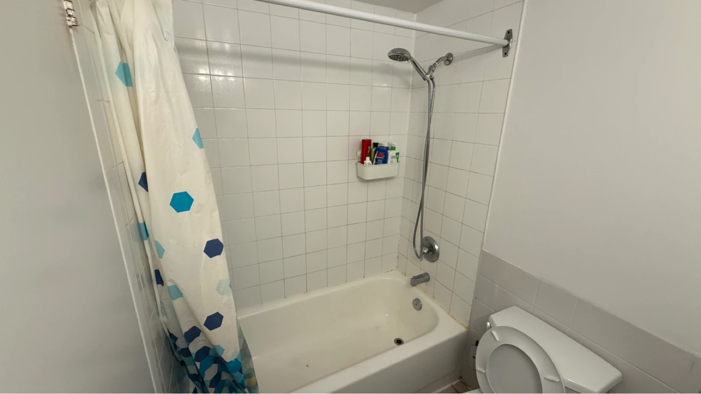 Furnished Summer Sublet Downtown Toronto - $800 - photo 3