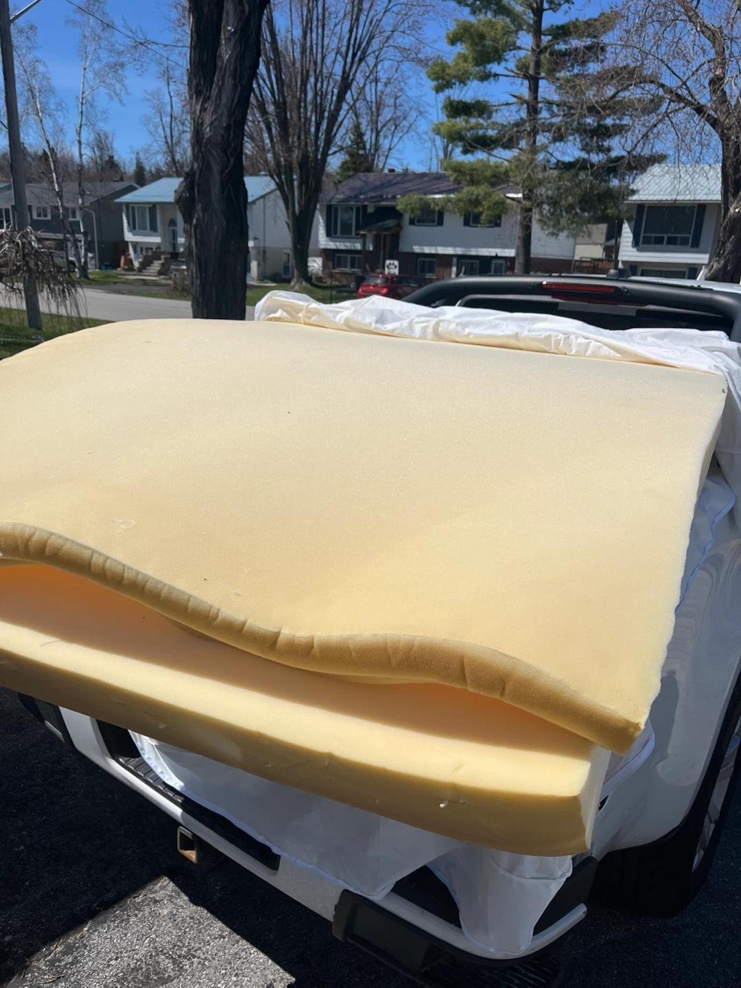 Foam Cushion