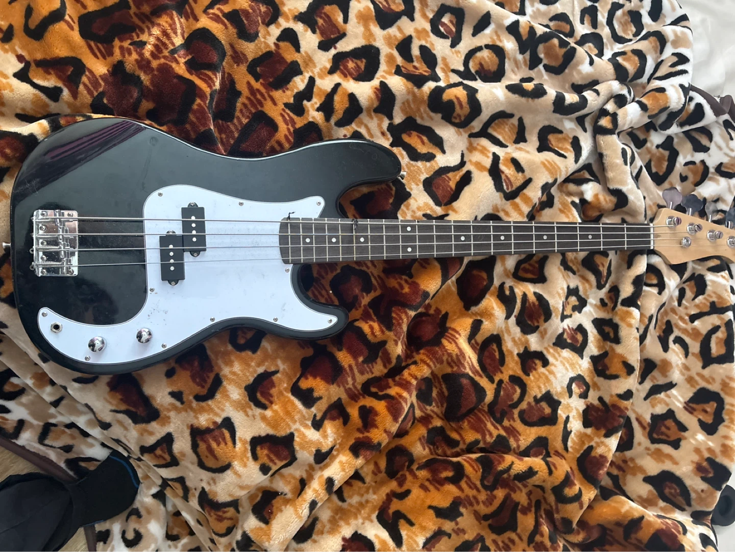 Black 4-String Bass Guitar