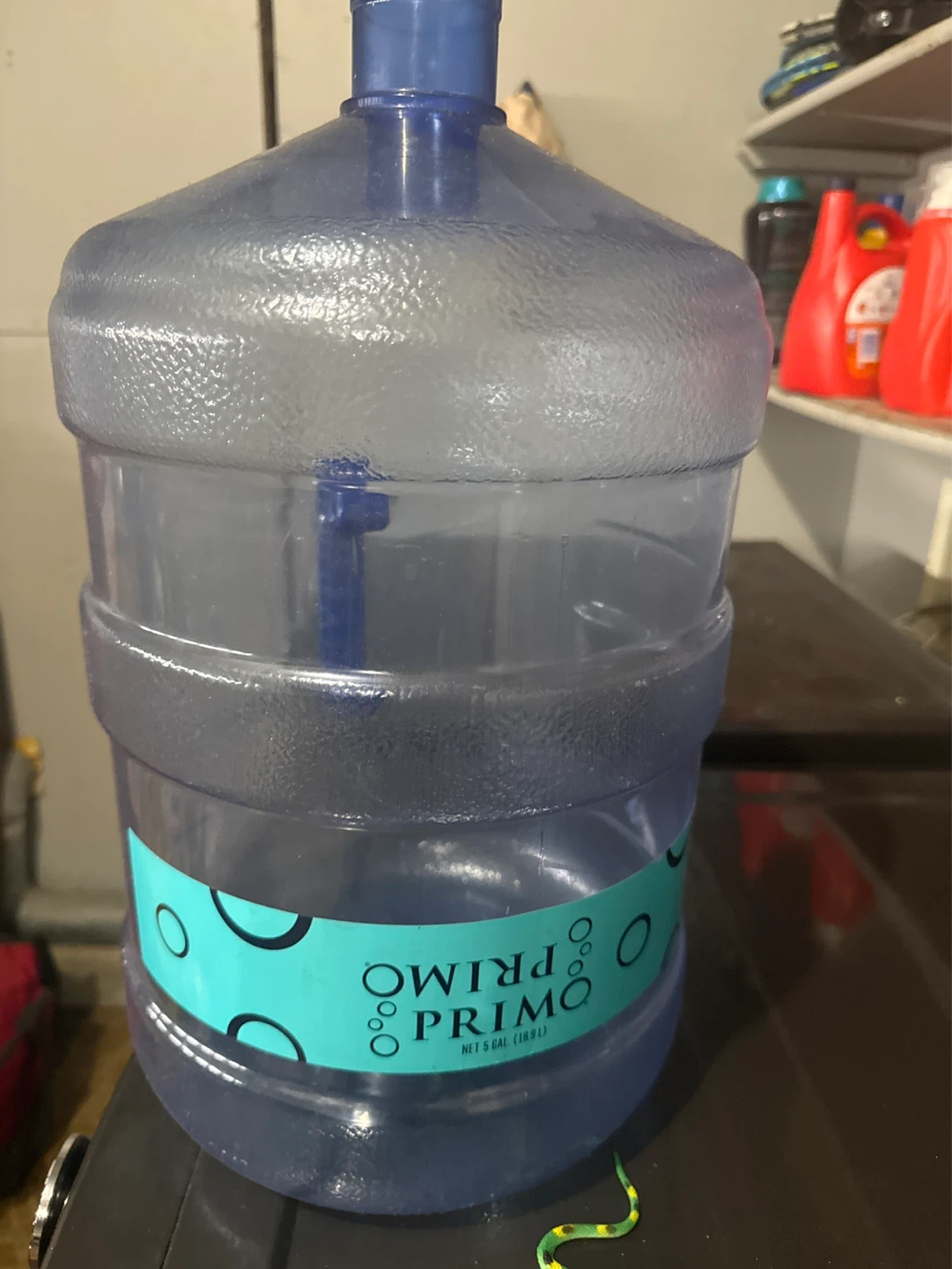 Primo 5 Gallon Water Jug(3 cans -10$)