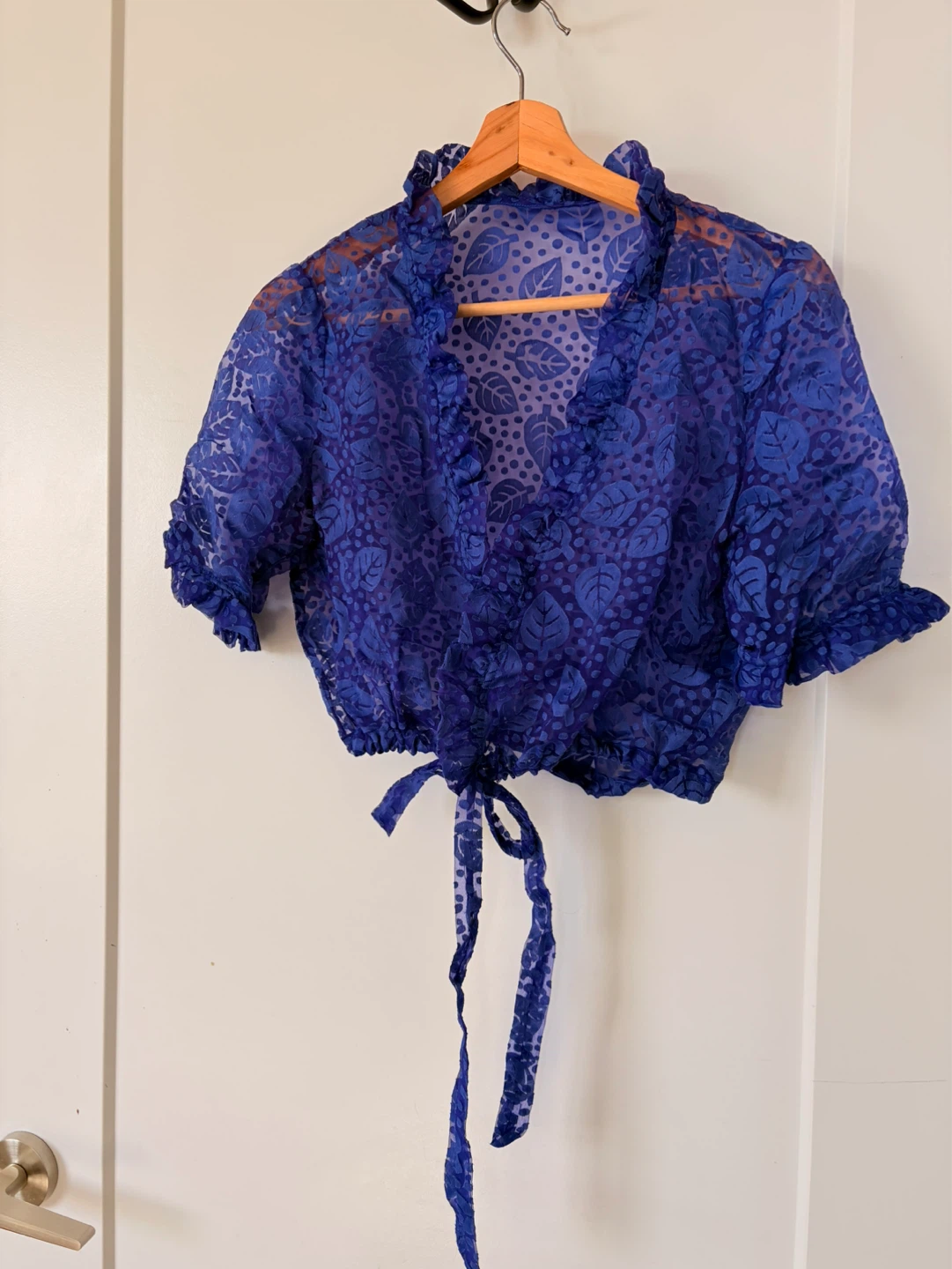 Sheer Blue  Crop Top - photo 5