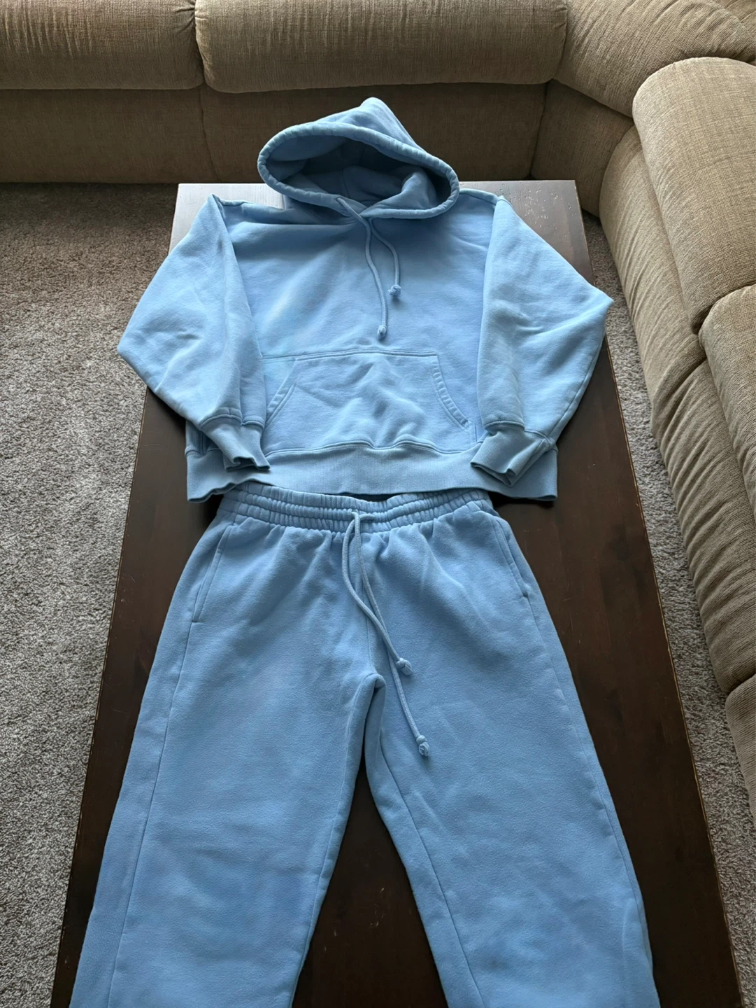 Aritzia TNA matching sweatsuit