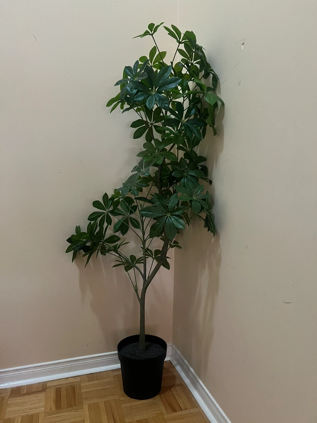Artificial Schefflera Tree in Black Pot - photo 2