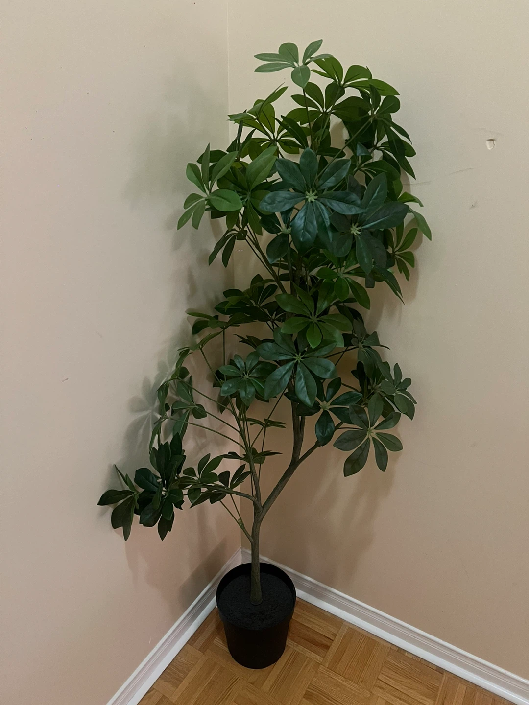 Artificial Schefflera Tree in Black Pot