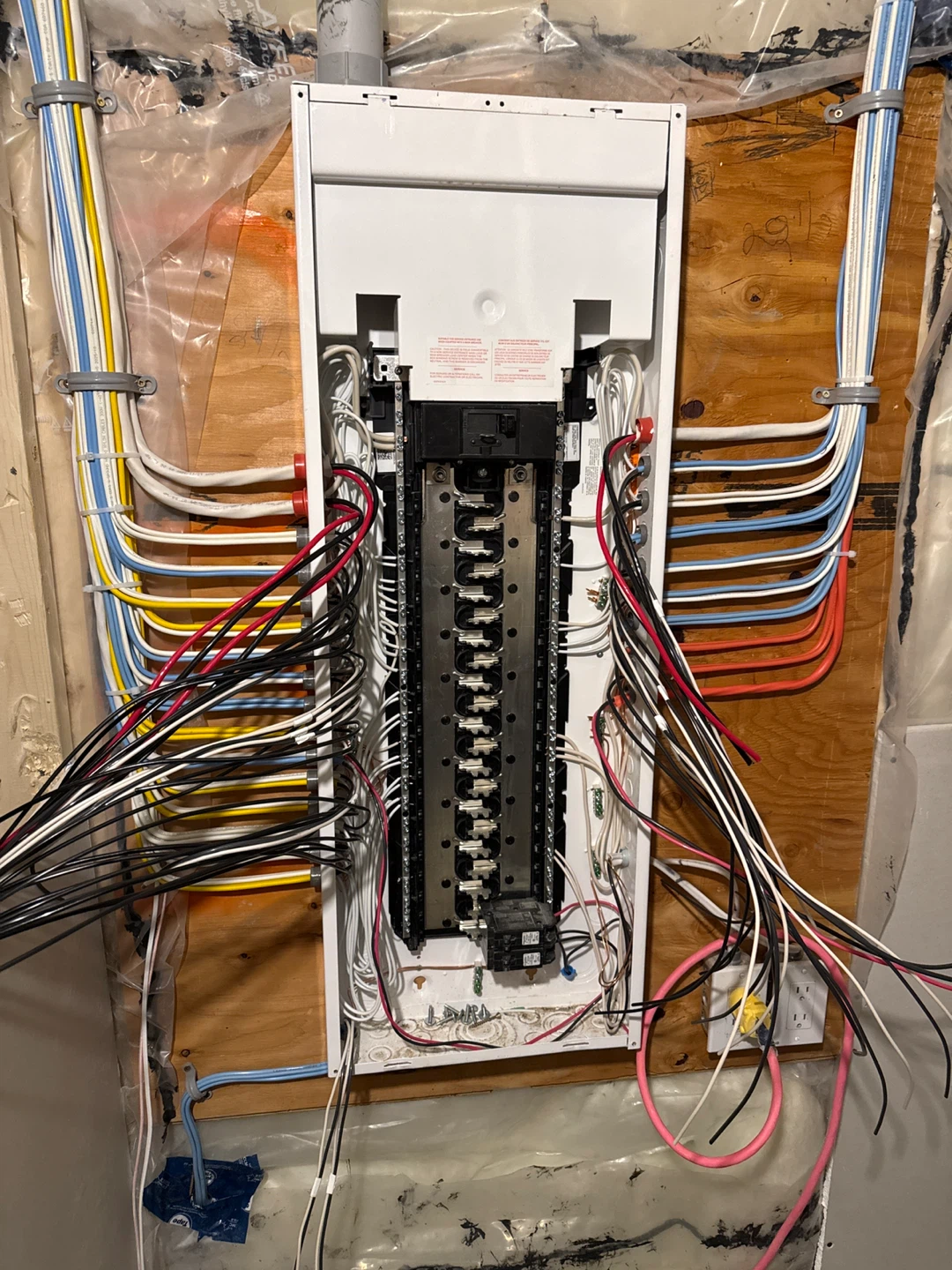 Electrician red seal
