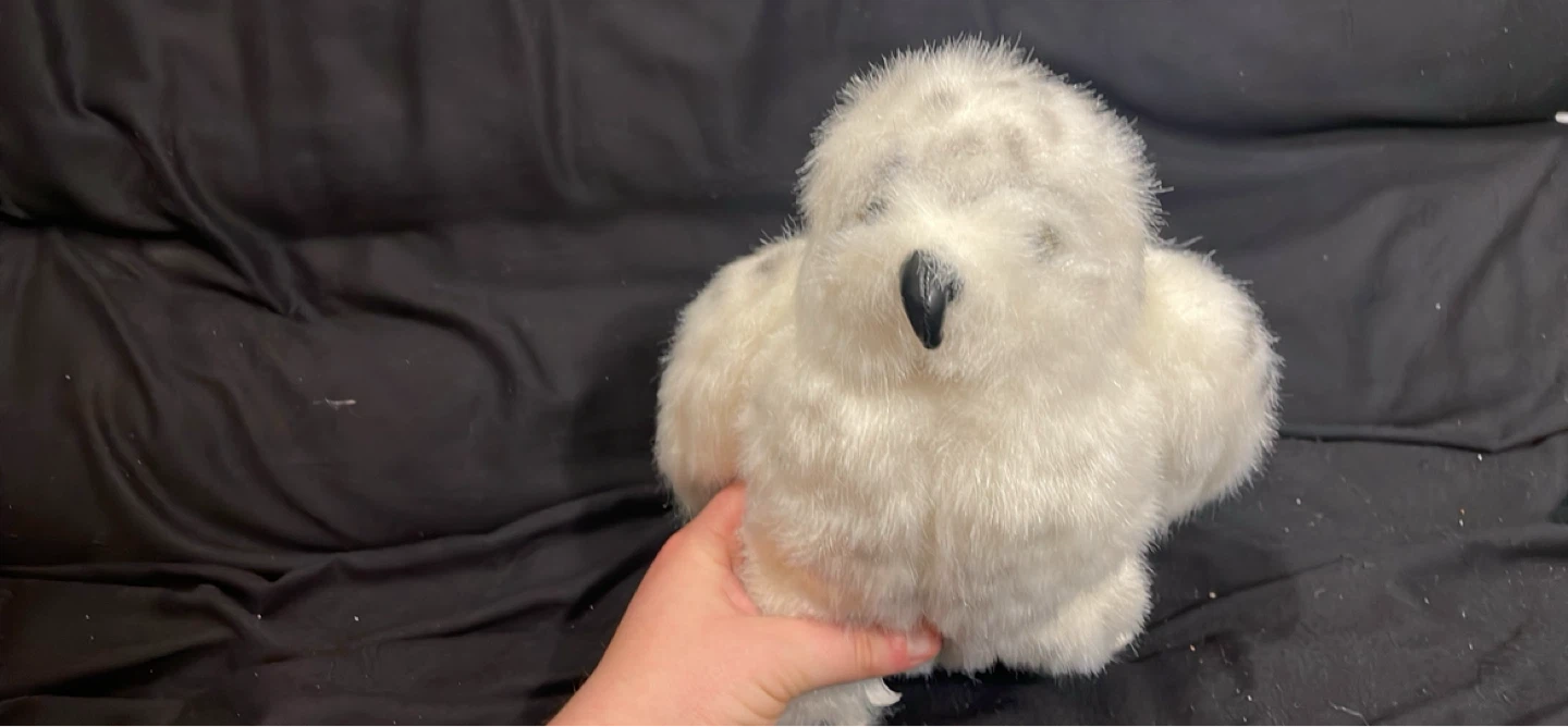 Hedwig from Harry Potter