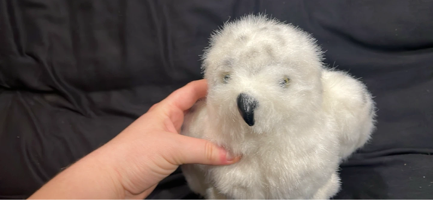 Hedwig from Harry Potter - photo 3