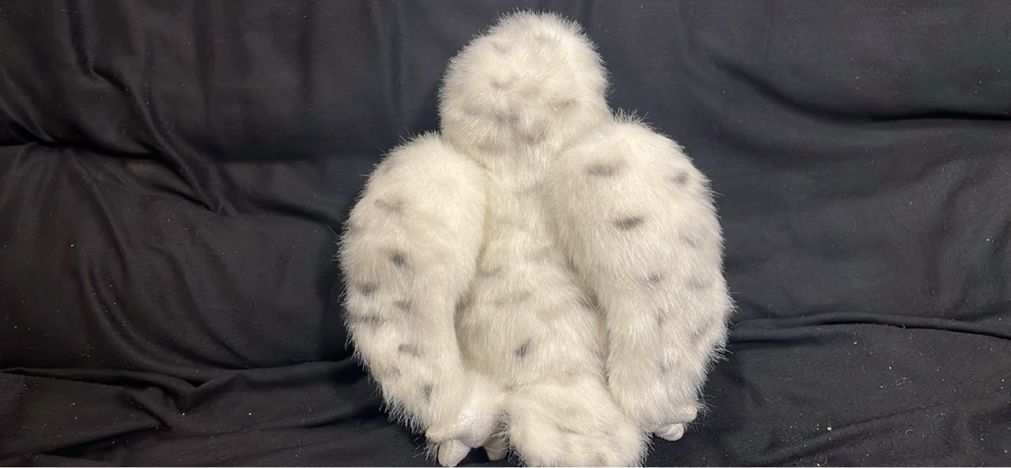 Hedwig from Harry Potter - photo 2