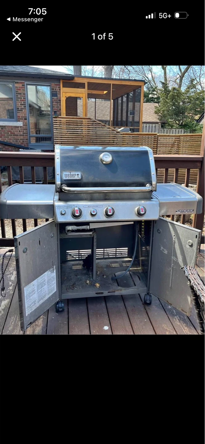 Weber Genesis II Propane Grill