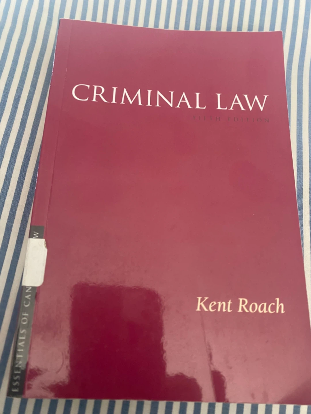 Criminal Law by Kent Roach 5th Ed