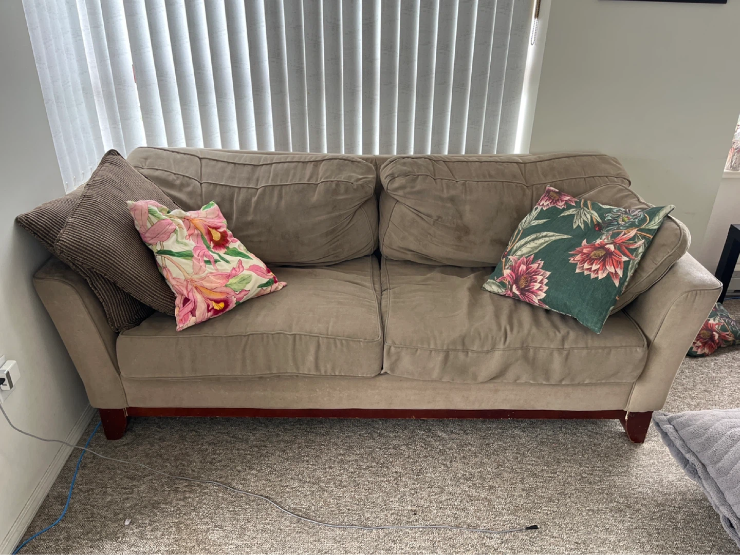 Tan Sofa 🌱