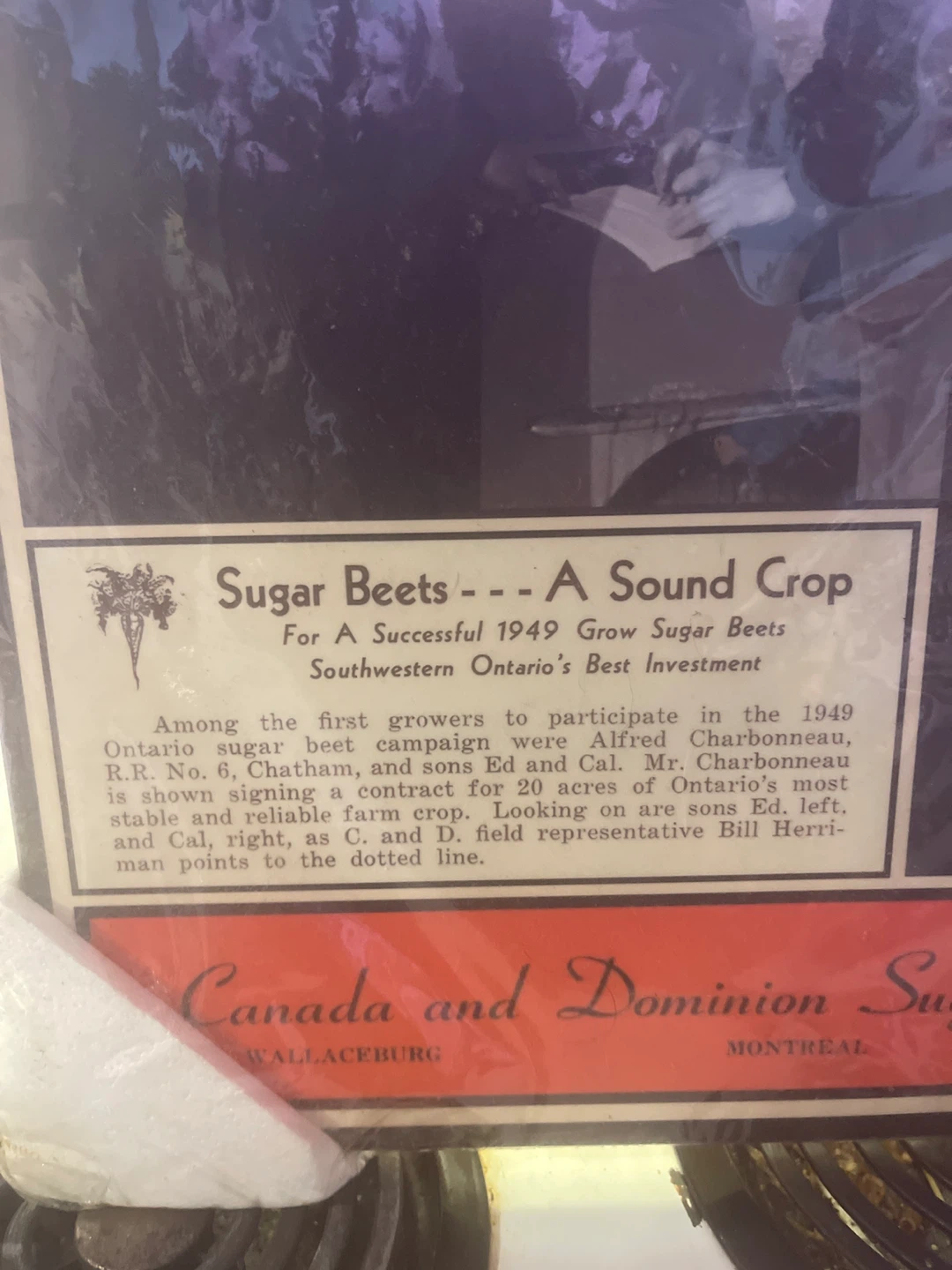 PLAK-IT Up and Down the Rows Sugar Beets Print - photo 3