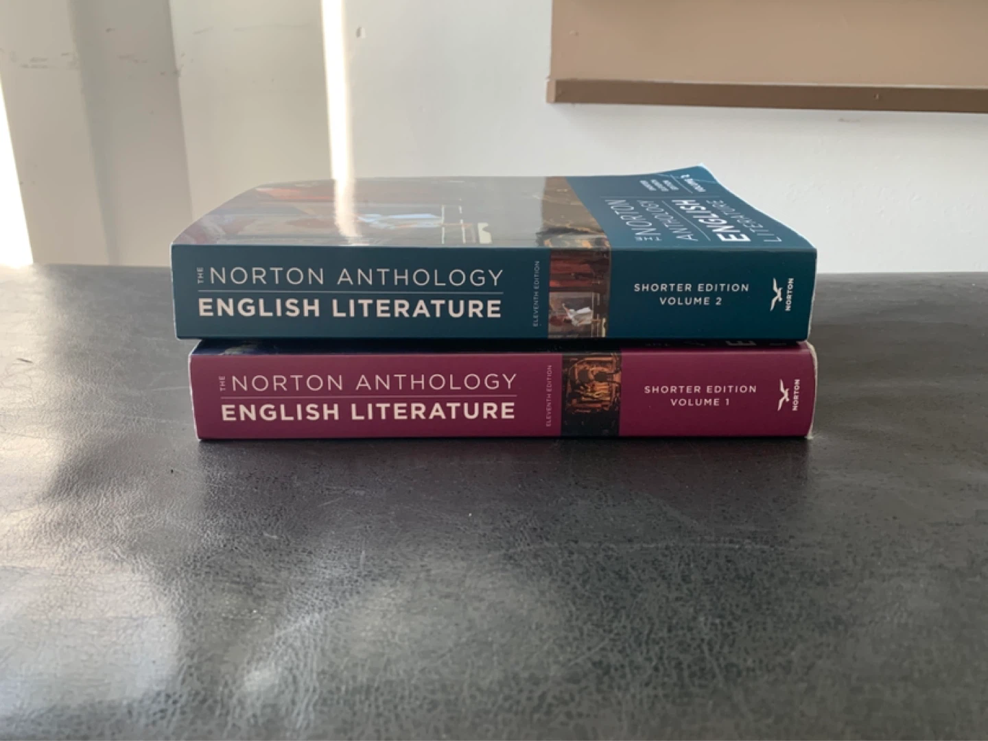 ENGLISH LITERATURE TEXTBOOKS UNIVERSITY OF MANITOBA - photo 2
