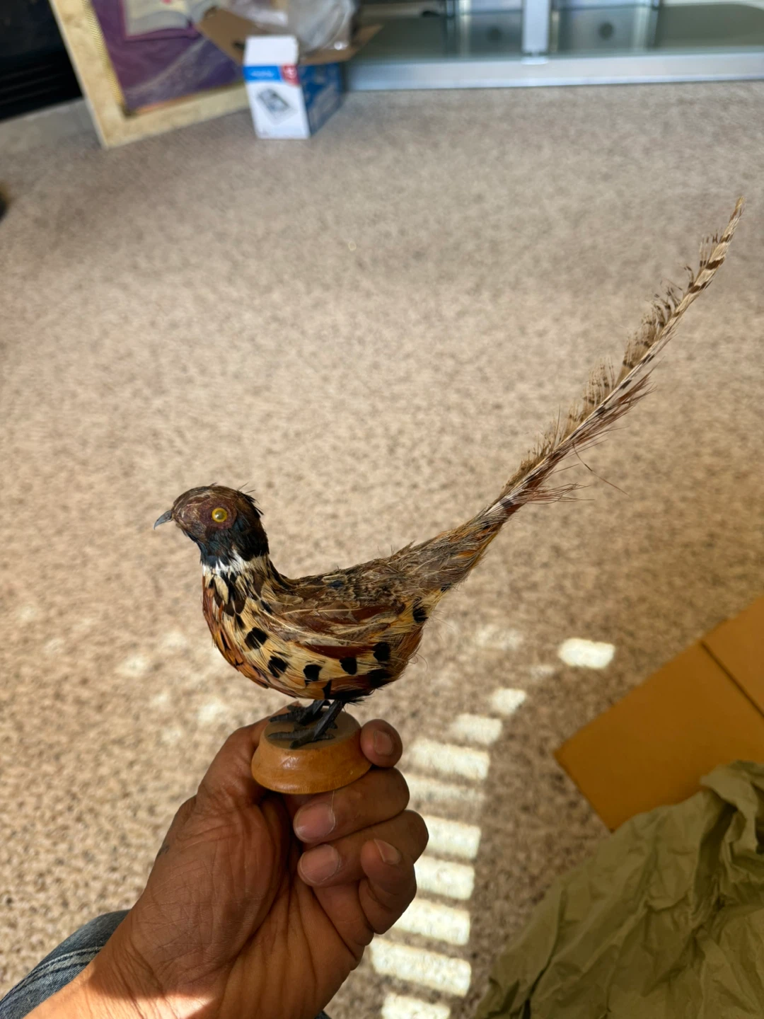 Feathered Bird Figurine with Wooden Base - photo 2