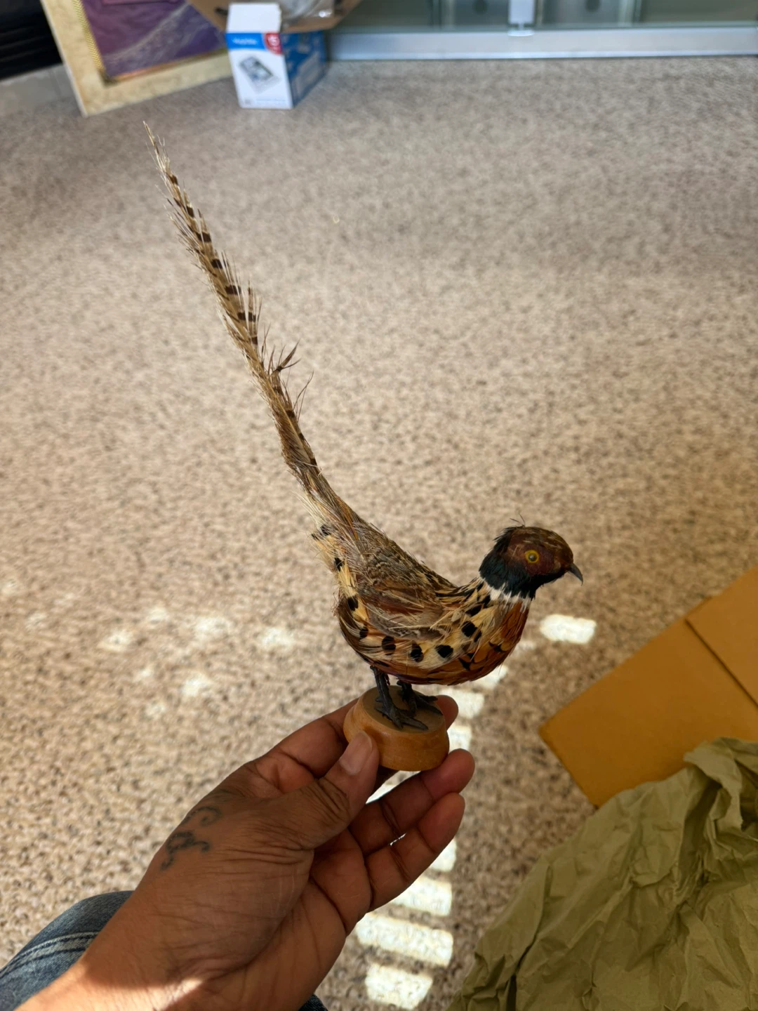 Feathered Bird Figurine with Wooden Base