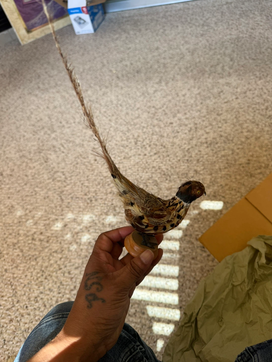 Feathered Bird Figurine with Wooden Base - photo 4
