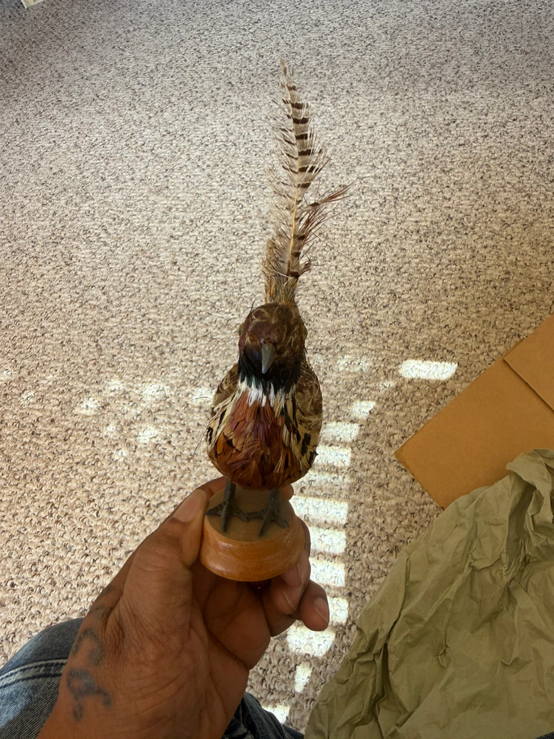 Feathered Bird Figurine with Wooden Base - photo 3