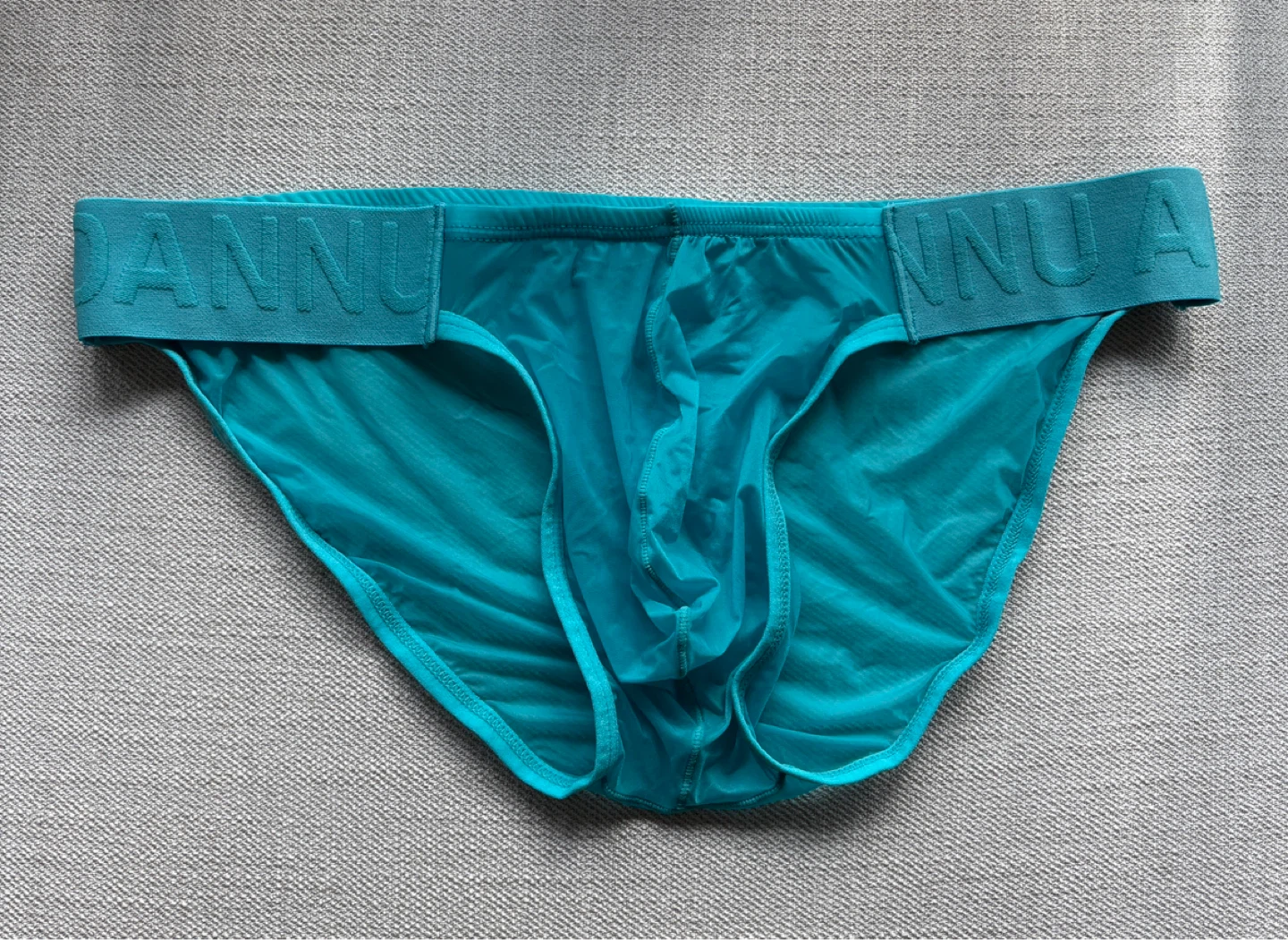 Men's Underwear - Teal Sheer Briefs