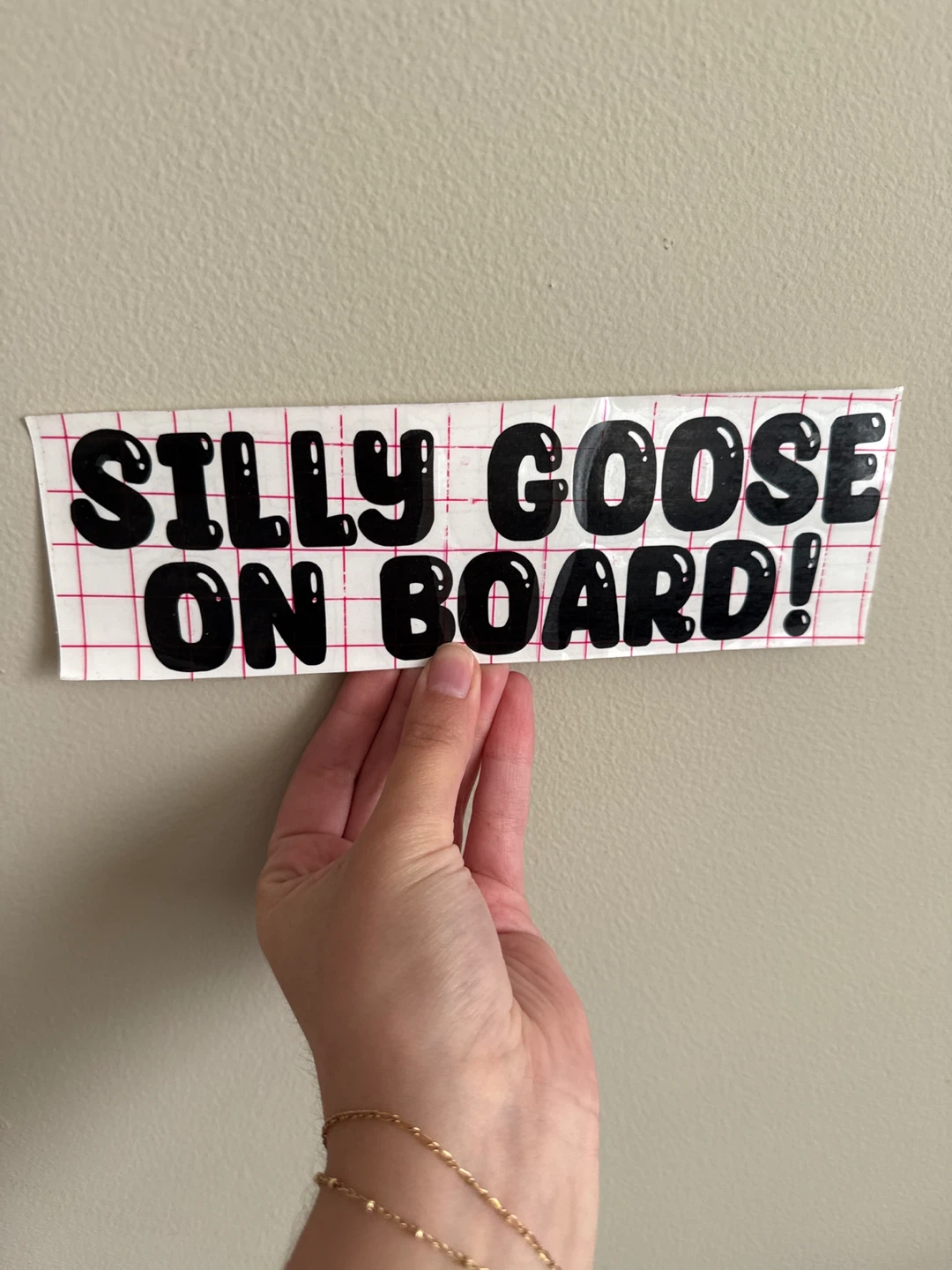 🌱 Silly Goose On Board Decal
