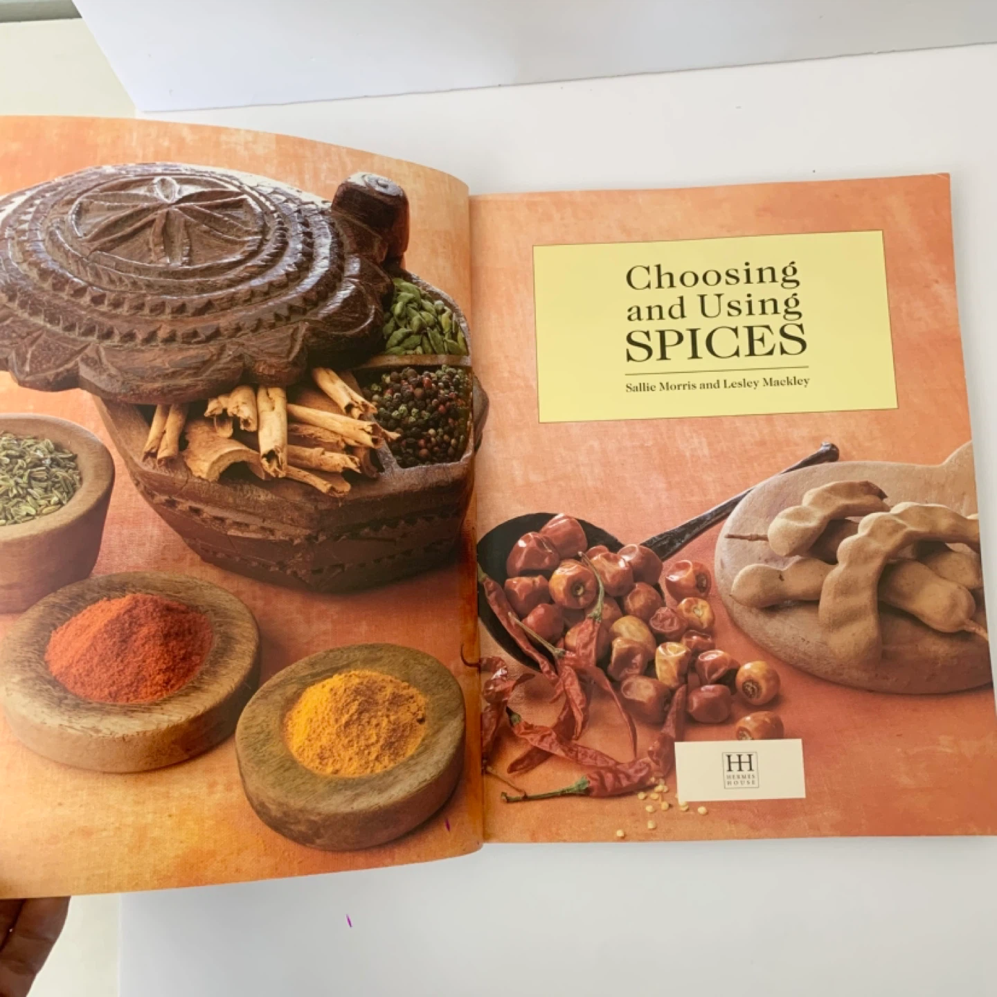 Spices Cookbook Cooking Book Recipes Spice Guide Food Books - photo 2