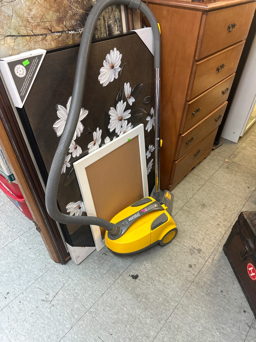 Eureka Rally 2 Vacuum Cleaner