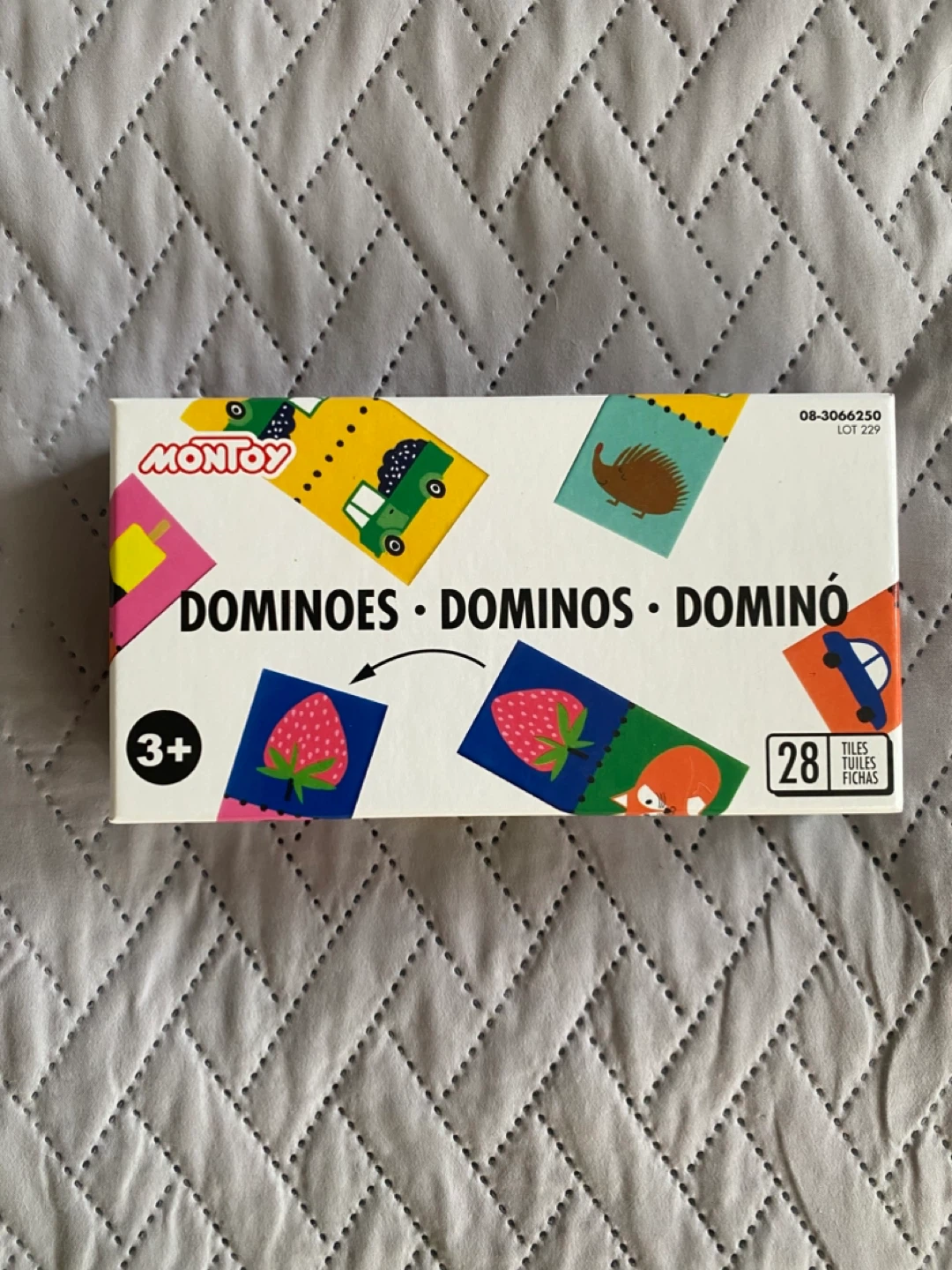 Kids domino