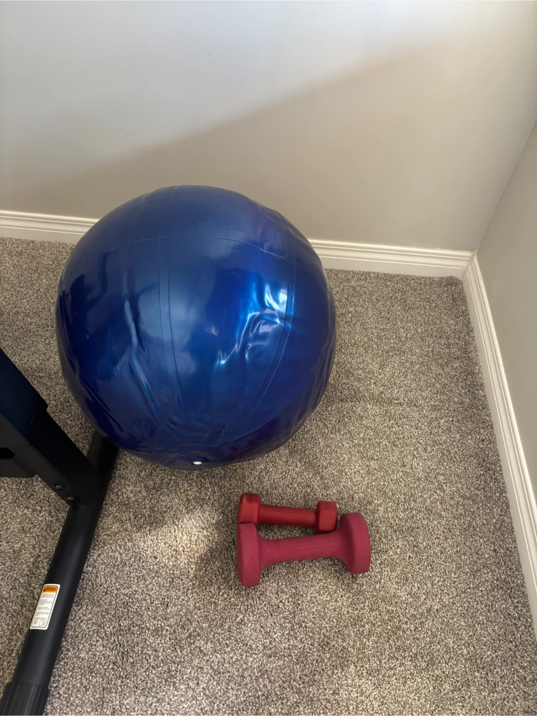 Balance Ball, GoZone Dumbbells - 8 lb, 5 lb